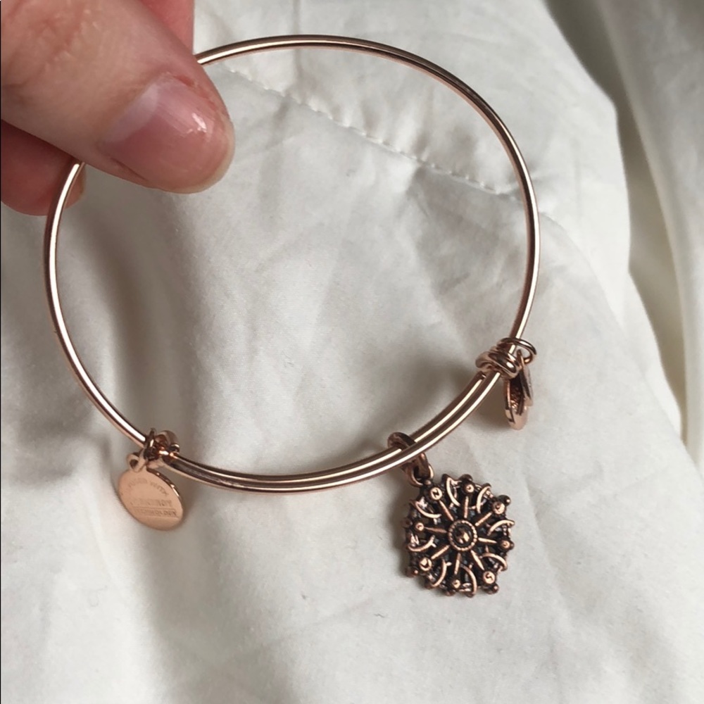 NEW alex and ani Compass bracelet